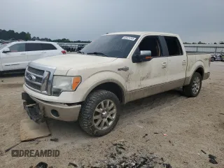 2009 Ford F-150 XL with VIN 1FTPW14V19KB33070, listed as a Copart auction lot 55521345 with Not provided miles and Salvage title. Bid and sale history available at DreamBid. Image 1.