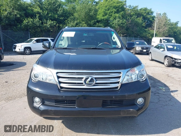 2011 Lexus GX 460 with VIN JTJBM7FX9B5034970, listed as a IAAI auction lot 42562366 with 172,555 mi miles and . Bid and sale history available at DreamBid. Image 12.