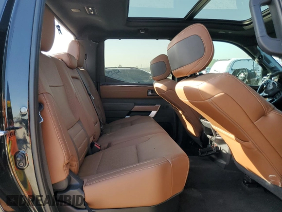 2022 Toyota Tundra 1794 Edition with VIN 5TFMA5DB2NX033703, listed as a Copart auction lot 47841975 with 48,755 mi miles and Salvage title. Bid and sale history available at DreamBid. Image 10.