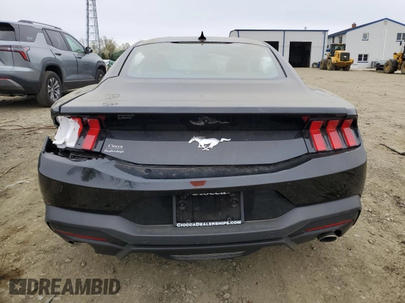 2024 Ford Mustang EcoBoost with VIN 1FA6P8TH8R5111195, listed as a Copart auction lot 52815325 with 4,856 mi miles and Clean Title. Bid and sale history available at carsss.com. Image 6.