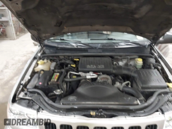 1999 Jeep Grand Cherokee Limited with VIN 1J4GW68N7XC752314, listed as a IAAI auction lot 41776905 with 228,023 mi miles. Bid and sale history available at carsss.com. Image 10.