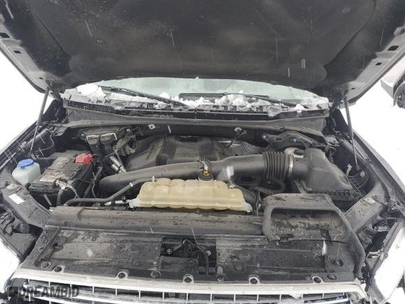2019 Ford F-150 XL with VIN 1FTEW1E45KFD33428, listed as a Copart auction lot 45008465 with 98,837 mi miles and Salvage Title. Bid and sale history available at carsss.com. Image 13.