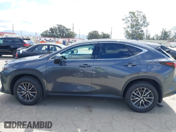 2025 Lexus NX 350 Premium с VIN 2T2GGCEZ9SC080938, выставлен на аукционе IAAI как лот 42255649 с пробегом 3 064 миль миль и . История ставок и продаж доступна на DreamBid. Изображение 14.