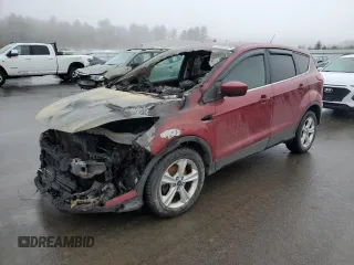 2014 Ford Escape SE with VIN 1FMCU9GX5EUC26538, listed as a Copart auction lot 48102325 with Not Provided miles and Salvage Title. Bid and sale history available at DreamBid. Image 1.