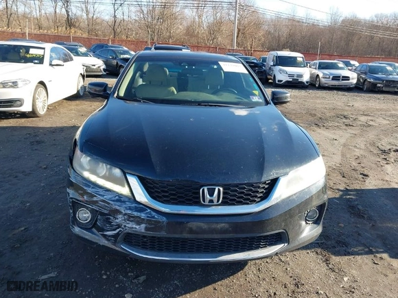 2013 Honda Accord Cpe EX-L with VIN 1HGCT2B80DA012637, listed as a IAAI auction lot 41232067 with 113,635 mi miles. Bid and sale history available at carsss.com. Image 12.