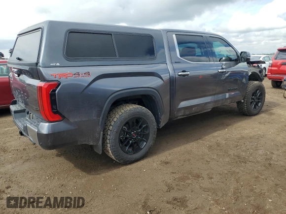2023 Toyota Tundra Limited with VIN 5TFJA5DB8PX083947, listed as a Copart auction lot 59283695 with 19,089 mi miles and Salvage title. Bid and sale history available at DreamBid. Image 3.