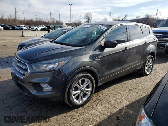 2017 Ford Escape SE with VIN 1FMCU0GDXHUE10346, listed as a Copart auction lot 43651645 with 192,805 mi miles and Clean Title. Bid and sale history available at carsss.com. Image 1.