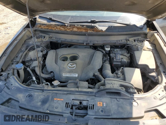 2016 Mazda CX-9 Touring with VIN JM3TCACY2G0121643, listed as a Copart auction lot 53341555 with 143,650 mi miles and Salvage title. Bid and sale history available at DreamBid. Image 14.