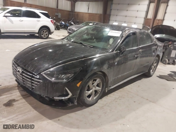 2022 Hyundai Sonata SE with VIN 5NPEG4JA7NH141528, listed as a IAAI auction lot 41336504 with 80,471 mi miles. Bid and sale history available at carsss.com. Image 2.