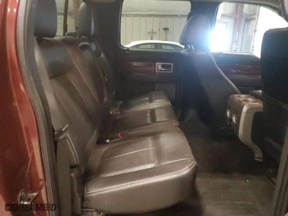 2010 Ford F-150 XL with VIN 1FTFW1EV4AFC51931, listed as a Copart auction lot 52011845 with 203,327 mi miles and Non Repairable. Bid and sale history available at carsss.com. Image 10.