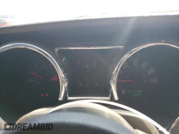 2006 Ford Mustang Standard z VIN 1ZVHT84N665237941, wystawiony jako Copart lot #55253585 z przebiegiem 171 923 mil mil oraz Szkoda całkowita • Salvage title. Historia ofert i sprzedaży dostępna na DreamBid. Obrazek 9.