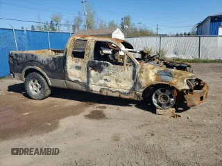 2010 Ford F-150 XL with VIN 1FTFX1EV7AFB02510, listed as a Copart auction lot 56640255 with Not provided miles and Non repairable. Bid and sale history available at DreamBid. Image 4.
