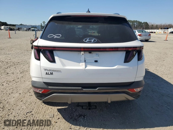 2023 Hyundai Tucson Limited with VIN 5NMJE3AE0PH292325, listed as a Copart auction lot 47001905 with 19,455 mi miles and Salvage Title. Bid and sale history available at carsss.com. Image 6.