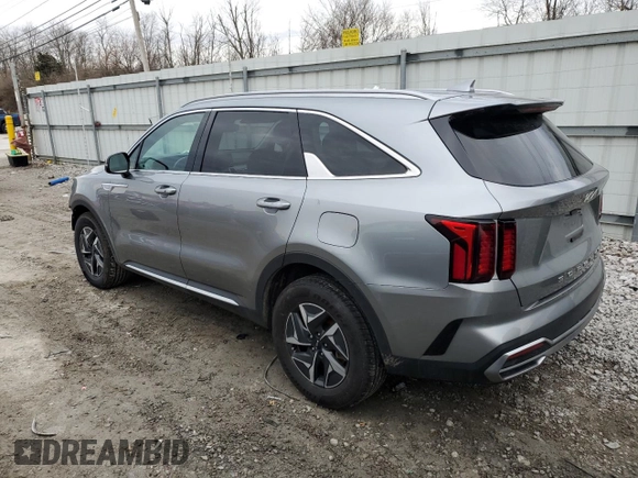 2022 Kia Sorento S with VIN KNDRG4LG3N5090659, listed as a Copart auction lot 46125235 with 50,448 mi miles and Salvage title. Bid and sale history available at DreamBid. Image 2.