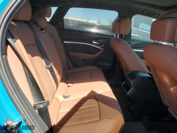 2019 Audi e-tron Premium Plus with VIN WA1LAAGE5KB015273, listed as a Copart auction lot 50098525 with NaN miles and Salvage Title. Bid and sale history available at carsss.com. Image 11.