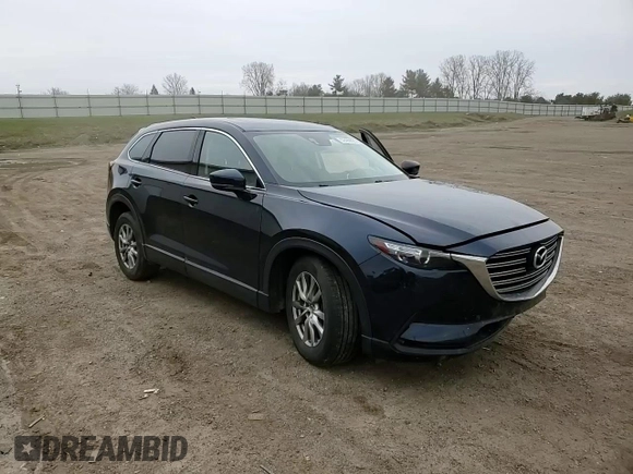 2016 Mazda CX-9 Touring with VIN JM3TCBCY4G0122279, listed as a Copart auction lot 52480825 with 109,646 mi miles and Clean Title. Bid and sale history available at carsss.com. Image 11.