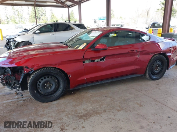 2016 Ford Mustang GT with VIN 1FA6P8CF3G5311123, listed as a IAAI auction lot 41709977 with 58,881 mi miles and . Bid and sale history available at carsss.com. Image 6.