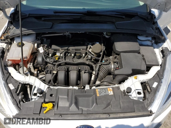 2016 Ford Focus SE with VIN 1FADP3K24GL225565, listed as a Copart auction lot 54949705 with 124,532 mi miles and Salvage Title. Bid and sale history available at carsss.com. Image 11.