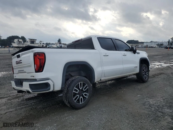 2020 GMC Sierra 1500 AT4 with VIN 3GTP9EED5LG349443, listed as a Copart auction lot 45358135 with 69,033 mi miles and Salvage Title. Bid and sale history available at carsss.com. Image 3.