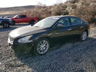 2009 Nissan Maxima 3.5 SV w/Sport Pkg with VIN 1N4AA51E69C828158, listed as a Copart auction lot 42559115 with 0 mi miles and Salvage Title. Bid and sale history available at carsss.com. Image 1.