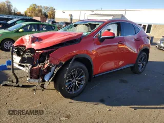 2024 Lexus NX with VIN 2T2AGCEZ5RC050948, listed as a Copart auction lot 76802244 with 10,263 mi miles and Salvage Title. Bid and sale history available at carsss.com. Image 1.
