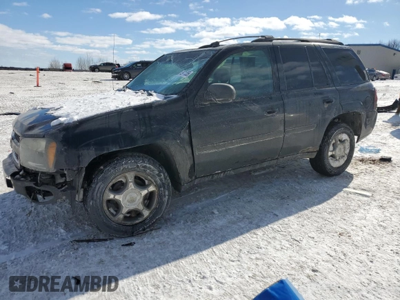 2008 Chevrolet TrailBlazer 1LT with VIN 1GNDT13S782123152, listed as a Copart auction lot 45971355 with 229,630 mi miles and Salvage Title. Bid and sale history available at DreamBid. Image 1.