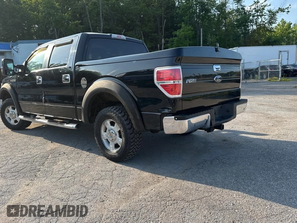 2009 Ford F-150 XL with VIN 1FTRW12889FB24610, listed as a Copart auction lot 62431355 with 254,000 mi miles and Clean title. Bid and sale history available at DreamBid. Image 3.