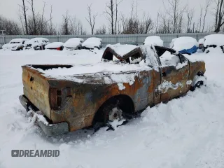 2013 Ford F-150 XL with VIN 1FTMF1EF4DFD46915, listed as a Copart auction lot 88067555 with Not provided miles and Salvage title. Bid and sale history available at DreamBid. Image 3.