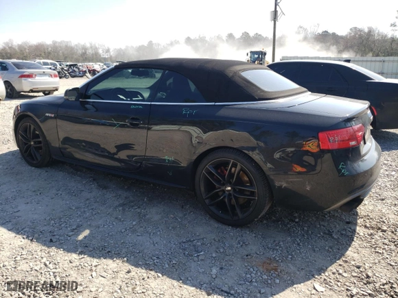 2013 Audi S5 Premium Plus with VIN WAUCGAFH4DN009057, listed as a Copart auction lot 44631485 with 124,854 mi miles and Salvage Title. Bid and sale history available at carsss.com. Image 2.