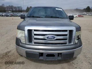 2010 Ford F-150 XL with VIN 1FTEW1C89AFA68212, listed as a Copart auction lot 47641185 with 313,339 mi miles and Clean Title. Bid and sale history available at carsss.com. Image 5.