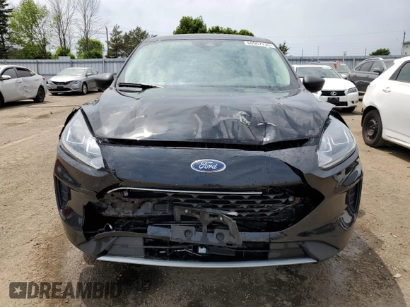 2022 Ford Escape SE with VIN 1FMCU9G61NUB54244, listed as a Copart auction lot 60967735 with 64,033 mi miles and Clean title. Bid and sale history available at DreamBid. Image 5.