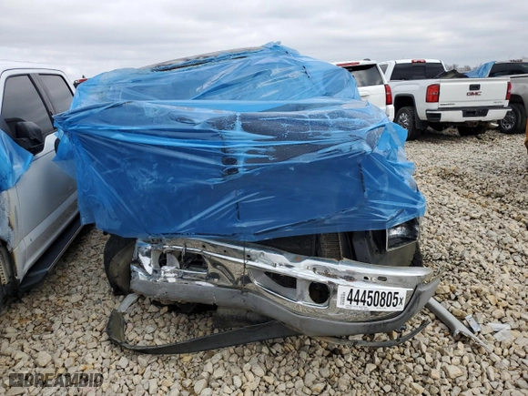 1999 Dodge Ram 1500 with VIN 3B7HF13ZXXG241152, listed as a Copart auction lot 44450805 with 0 mi miles and Non Repairable. Bid and sale history available at carsss.com. Image 5.