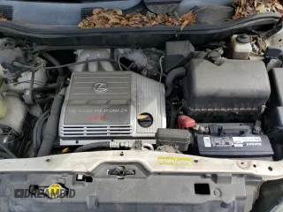 1999 Lexus RX 300 with VIN JT6HF10U7X0009824, listed as a Copart auction lot 52953135 with 180,006 mi miles and Salvage Title. Bid and sale history available at DreamBid. Image 12.