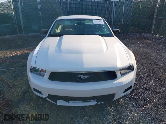 2010 Ford Mustang V6 with VIN 1ZVBP8AN7A5155689, listed as a IAAI auction lot 41775195 with 179,353 mi miles and . Bid and sale history available at DreamBid. Image 13.