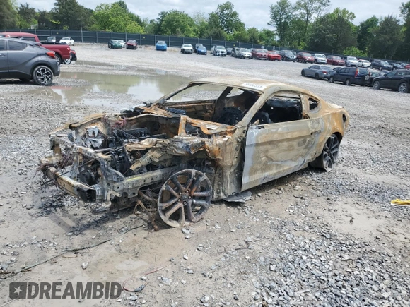 2019 Ford Mustang GT with VIN 1FA6P8CF3K5199495, listed as a Copart auction lot 56132555 with Not provided miles and Non repairable. Bid and sale history available at DreamBid. Image 1.