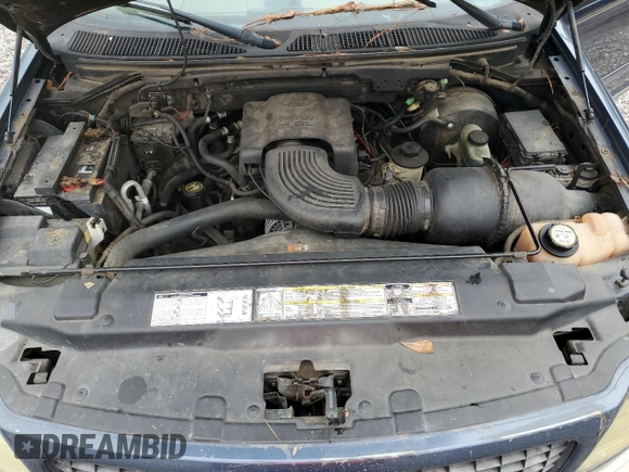2002 Ford Expedition Eddie Bauer with VIN 1FMRU17W92LA23415, listed as a Copart auction lot 79519044 with 205,830 mi miles and Salvage title. Bid and sale history available at DreamBid. Image 12.