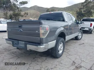 2010 Ford F-150 XL with VIN 1FTEW1C87AKB05460, listed as a IAAI auction lot 41734786 with 198,395 mi miles. Bid and sale history available at carsss.com. Image 4.