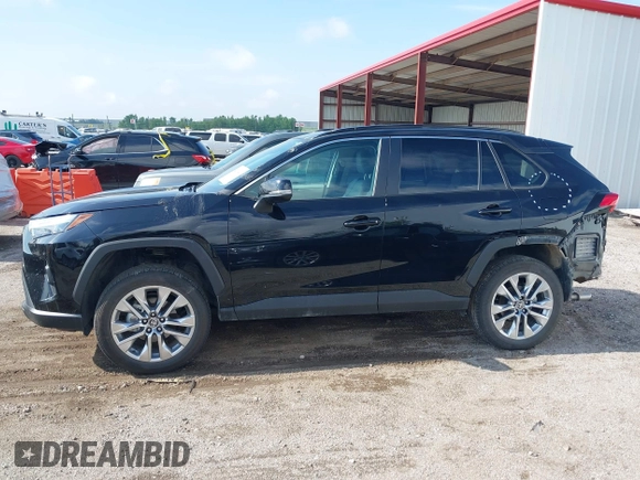 2025 Toyota RAV4 XLE Premium with VIN 2T3A1RFV1SW517279, listed as a IAAI auction lot 42363491 with 8,848 mi miles and . Bid and sale history available at DreamBid. Image 15.