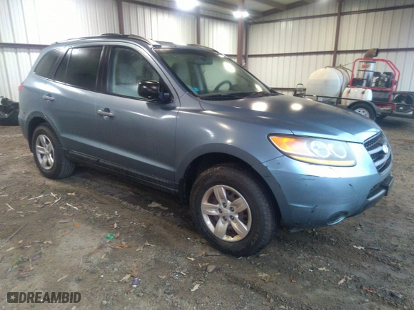2009 Hyundai Santa Fe GLS with VIN 5NMSG13D89H247806, listed as a IAAI auction lot 40909738 with 169,151 mi miles. Bid and sale history available at carsss.com. Image 1.