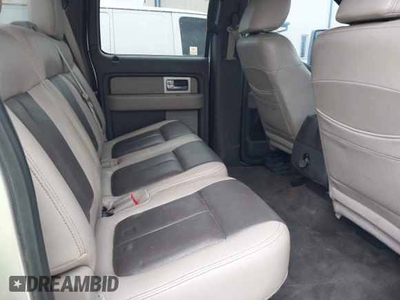 2010 Ford F-150 XL with VIN 1FTFW1EVXAFB54135, listed as a IAAI auction lot 41717790 with 192,365 mi miles. Bid and sale history available at carsss.com. Image 8.