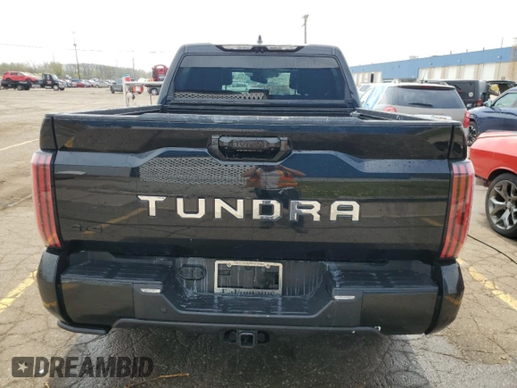 2023 Toyota Tundra Platinum Hybrid with VIN 5TFNC5DBXPX013832, listed as a Copart auction lot 54232575 with 52,894 mi miles and Clean title. Bid and sale history available at DreamBid. Image 6.