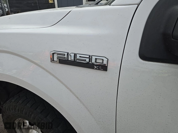 2017 Ford F-150 XL with VIN 1FTEX1E82HKD27618, listed as a IAAI auction lot 42796140 with 124,457 mi miles and . Bid and sale history available at DreamBid. Image 10.