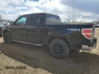 2013 Ford F-150 XL with VIN 1FTFW1ET2DFB46825, listed as a Copart auction lot 55166615 with 195,309 mi miles and Clean Title. Bid and sale history available at carsss.com. Image 2.