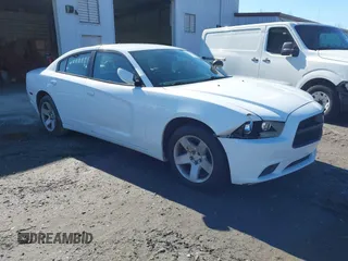 2014 Dodge Charger Police with VIN 2C3CDXAG6EH121287, listed as a IAAI auction lot 41728835 with 116,253 mi miles and . Bid and sale history available at DreamBid. Image 1.