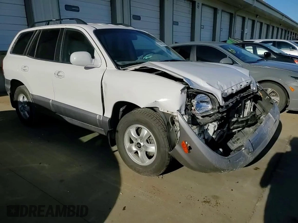 2006 Hyundai Santa Fe GLS with VIN KM8SC13D36U044396, listed as a Copart auction lot 78847884 with 76,080 mi miles and Salvage Title. Bid and sale history available at carsss.com. Image 11.