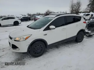 2014 Ford Escape SE with VIN 1FMCU9G99EUD90182, listed as a Copart auction lot 44133645 with 183,122 mi miles and Salvage Title. Bid and sale history available at DreamBid. Image 1.