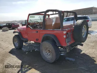 1993 Jeep Wrangler with VIN 1J4FY29S5PP239056, listed as a Copart auction lot 51708125 with 172,597 mi miles and Clean Title. Bid and sale history available at carsss.com. Image 2.