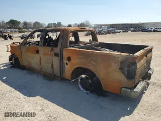 2013 Ford F-150 XL with VIN 1FTFW1EF0DKE72463, listed as a Copart auction lot 46505785 with 0 mi miles and Non Repairable. Bid and sale history available at carsss.com. Image 2.