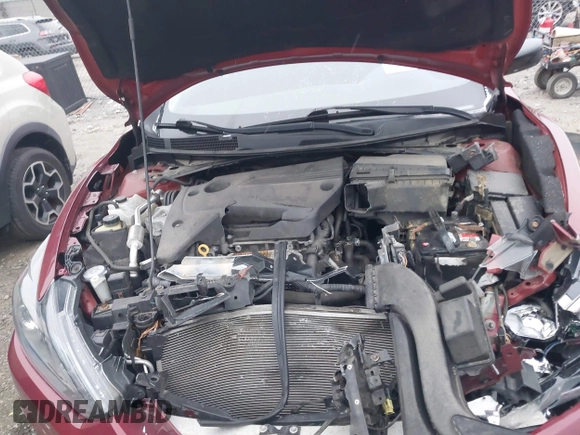 2017 Nissan Altima SV with VIN 1N4AL3AP5HC241173, listed as a IAAI auction lot 41161820 with Not Provided miles and . Bid and sale history available at DreamBid. Image 10.