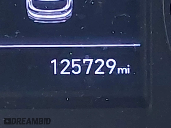 2019 Hyundai Santa Fe SE with VIN 5NMS2CAD6KH114027, listed as a IAAI auction lot 41874556 with 125,729 mi miles. Bid and sale history available at carsss.com. Image 15.